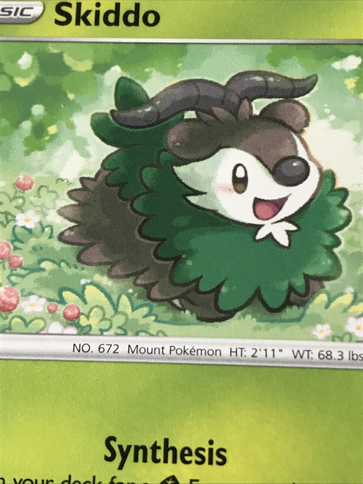 Pokemon Card Vivid Voltage Skiddo Basic 17/185 Mint Condition