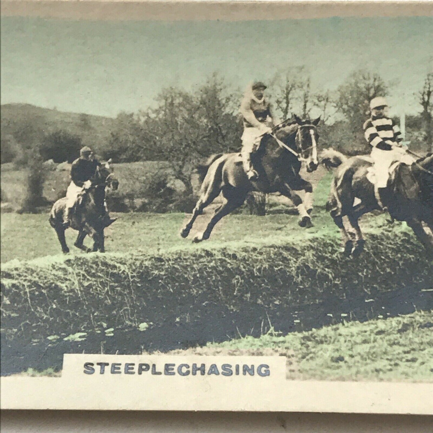 STEEPLECHASING Ward Muir Poem Photo Cigarette Card Cavanders Homeland Series