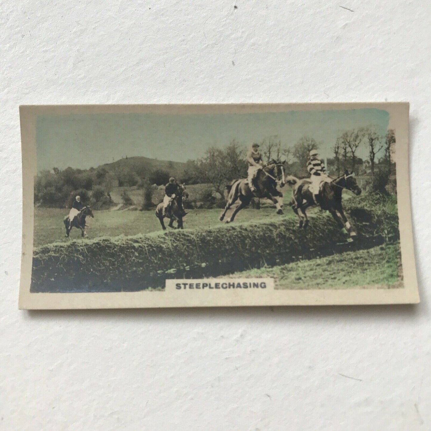 STEEPLECHASING Ward Muir Poem Photo Cigarette Card Cavanders Homeland Series