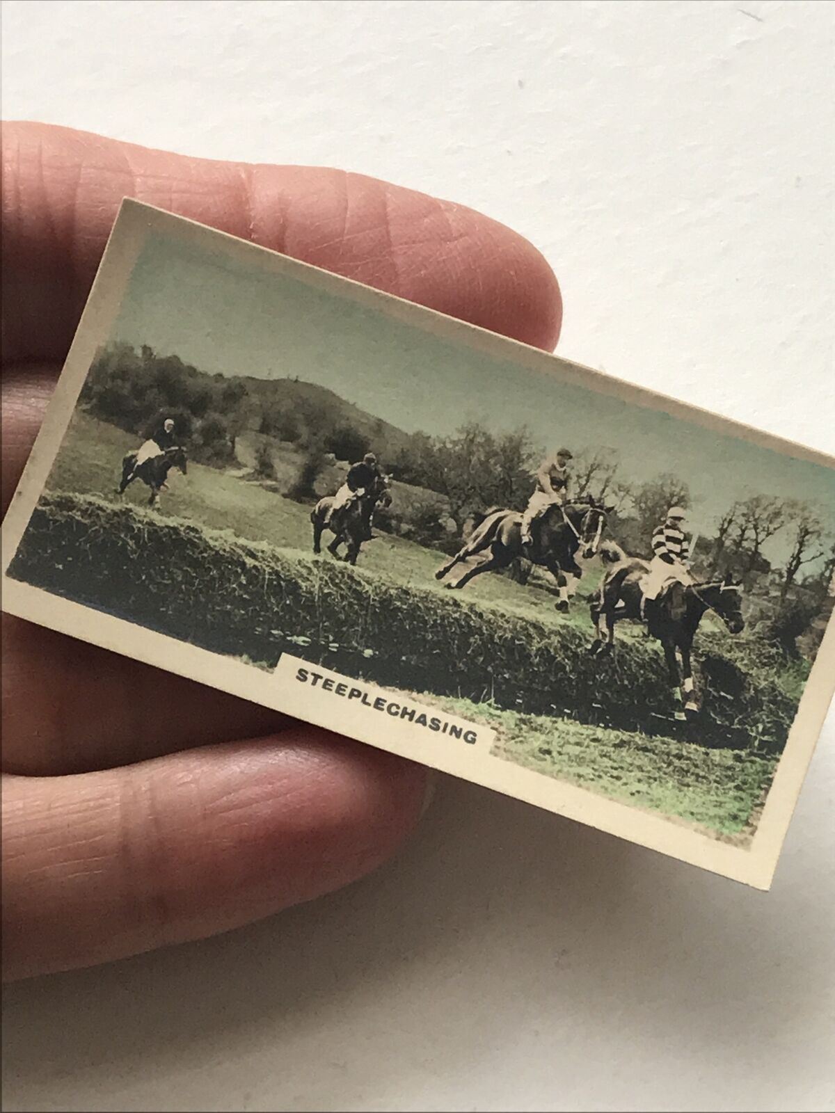 STEEPLECHASING Ward Muir Poem Photo Cigarette Card Cavanders Homeland Series