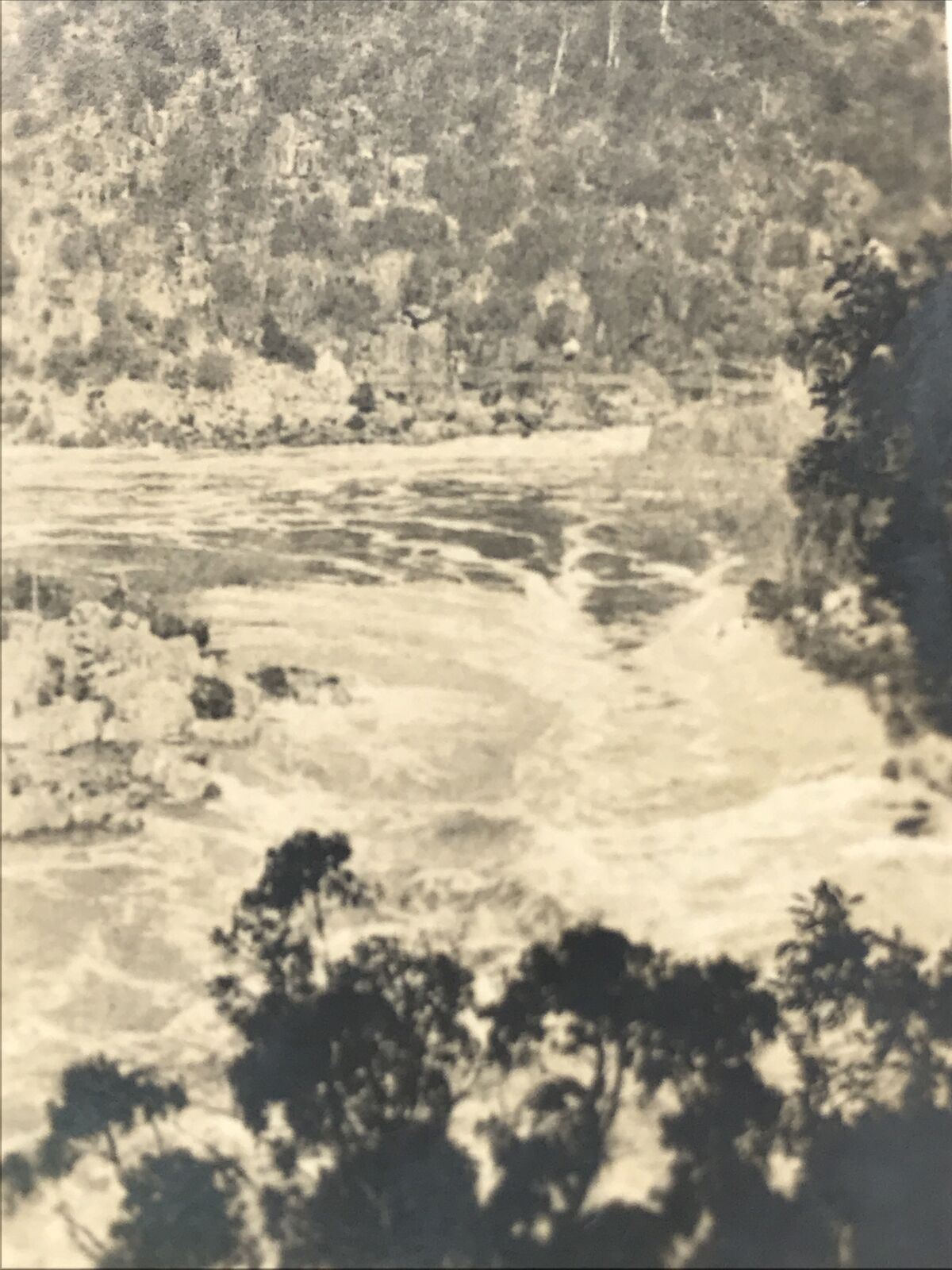 TASMANIA LAUNCESTON GORGE Photo Cavanders Cigarette Card. Peeps Into Many Lands