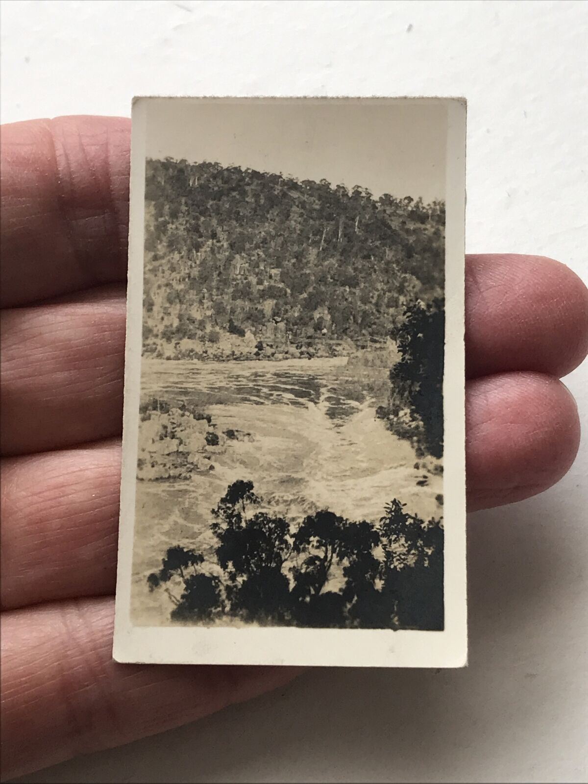 TASMANIA LAUNCESTON GORGE Photo Cavanders Cigarette Card. Peeps Into Many Lands