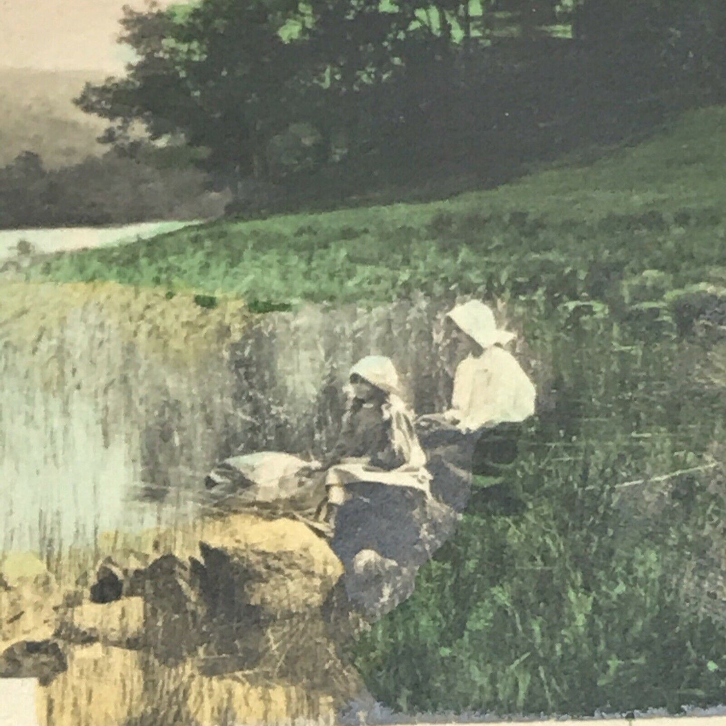 WHISPERING RUSHES Hand Coloured Photo Cavanders Cigarette Card. Camera Studies