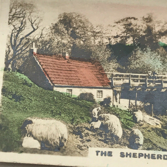 SHEPHERDS FLOCK Hand Coloured Photo Cavanders Cigarette Card. Camera Studies