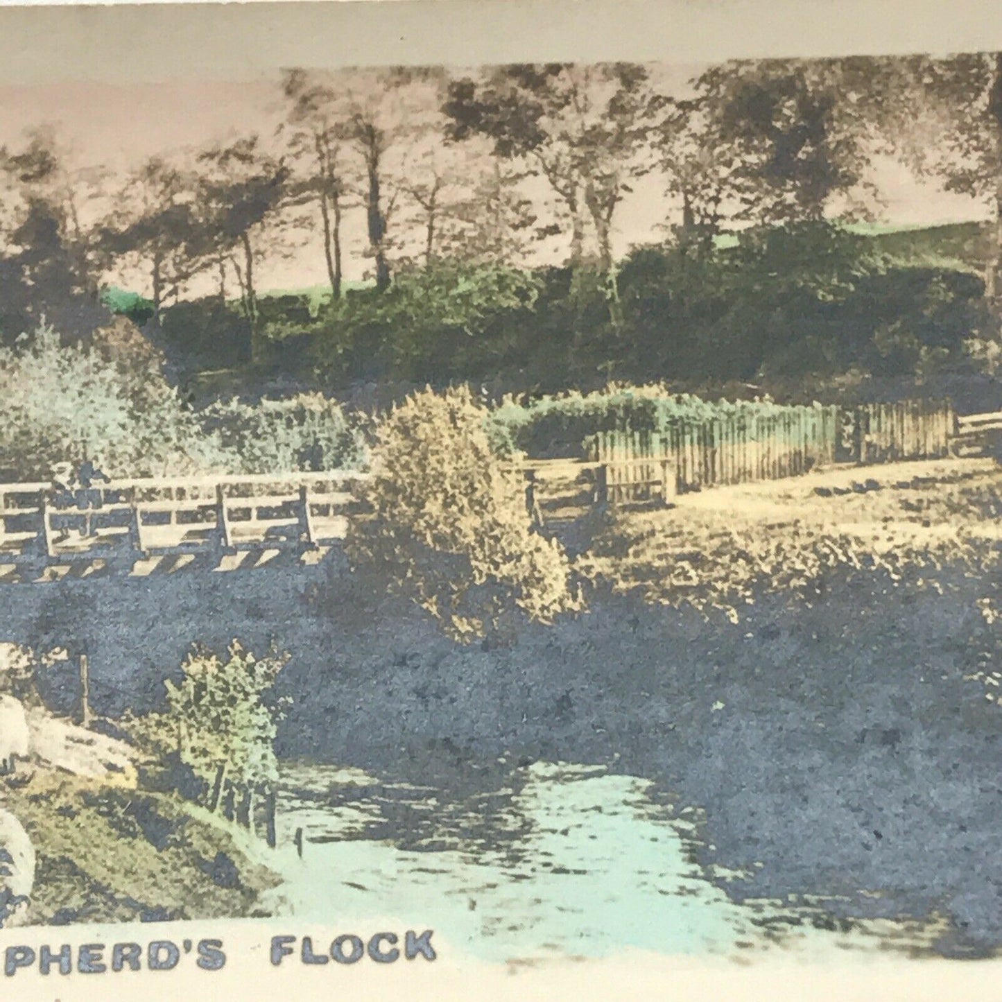 SHEPHERDS FLOCK Hand Coloured Photo Cavanders Cigarette Card. Camera Studies