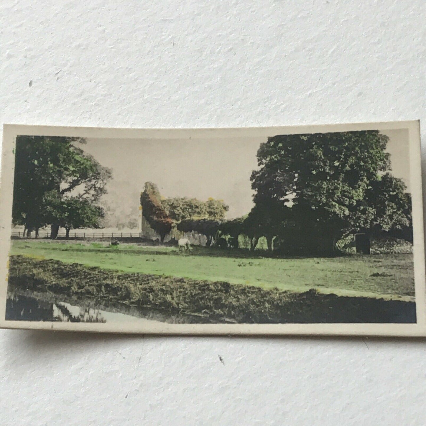 RUINS, GODSTOW NUNNERY Tinted Photo Cigarette Card Cavanders River Valleys