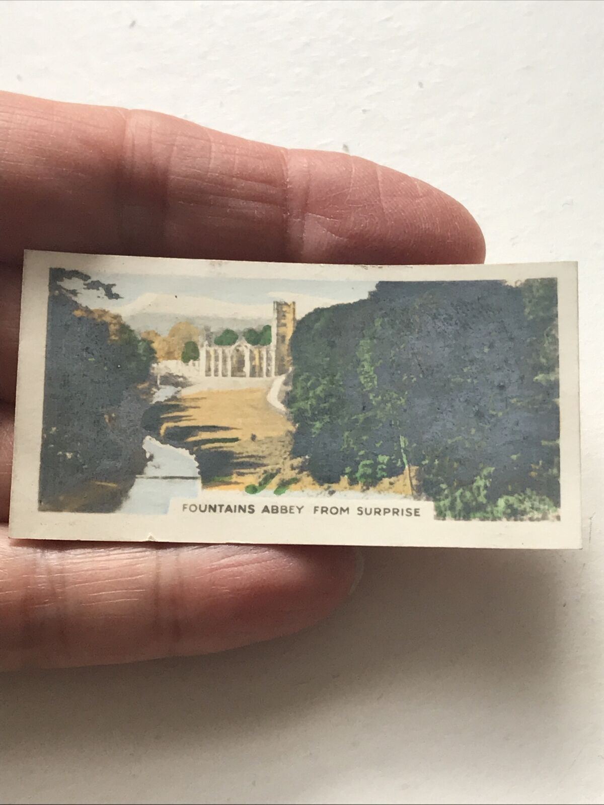 FOUNTAINS ABBEY FROM SURPRISETinted Photo Cigarette Card Cavanders River Valleys