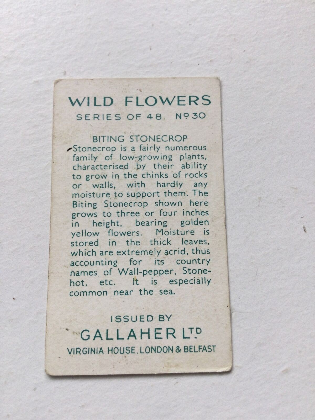 BITING STONECROP Cigarette Card Wild Flowers #30/48 Vintage Colourful Yellow