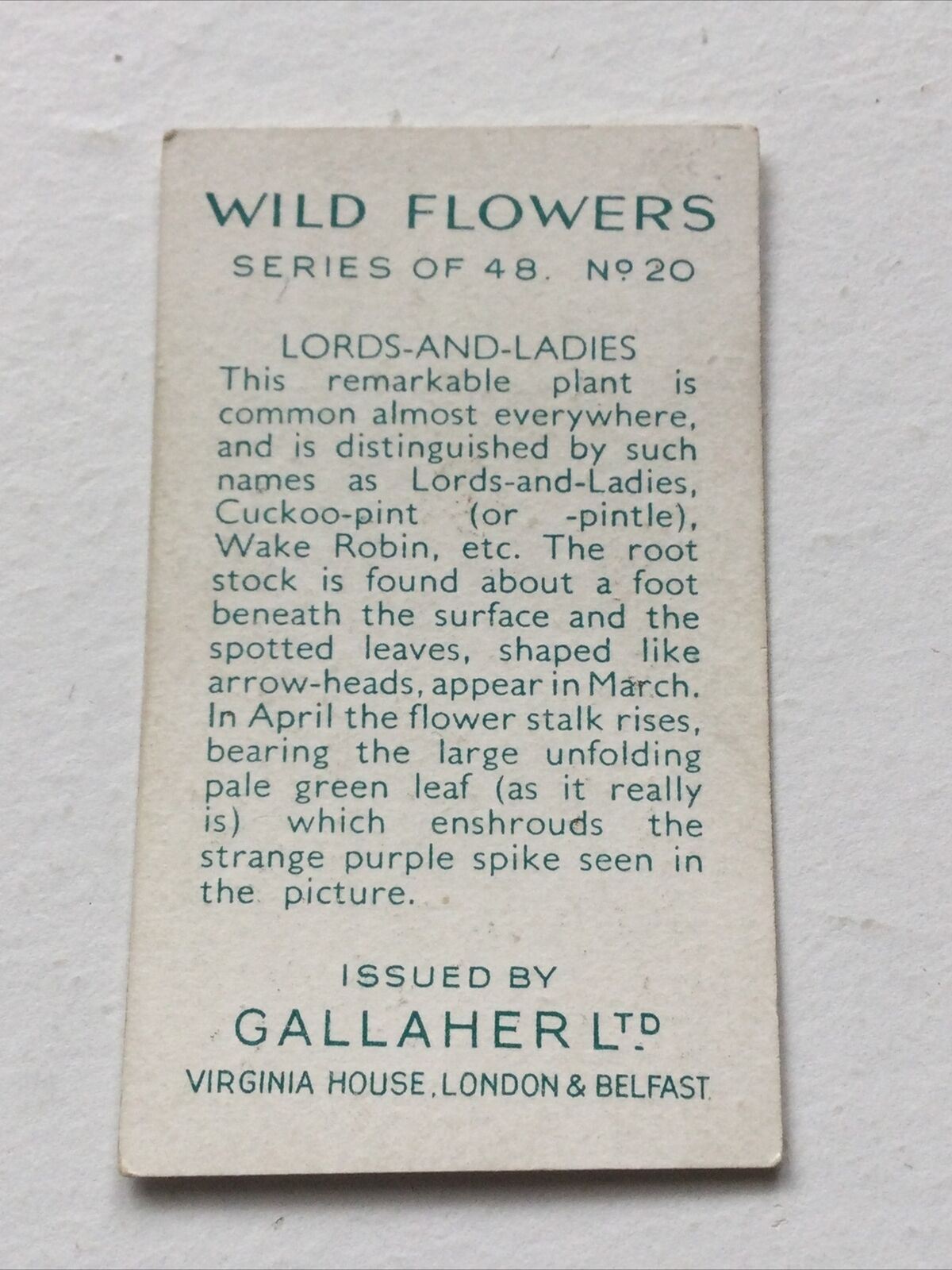 LORDS & LADIES cigarette Card Wild Flowers #30/48 Vintage Colourful Gallaher