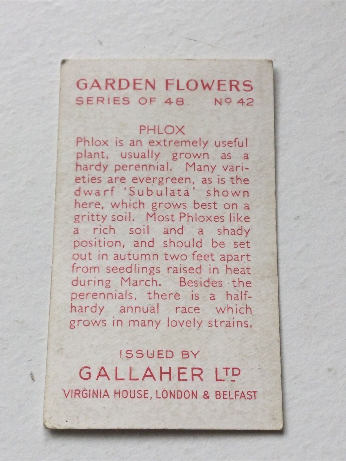 PHLOX Gallaher cigarette Card Garden Flowers #42/48 Pretty Print Vintage