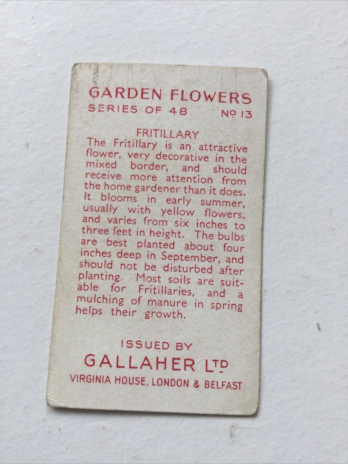 FRITILLARY Gallaher cigarette Card Garden Flowers #13/48 Vintage Gardening