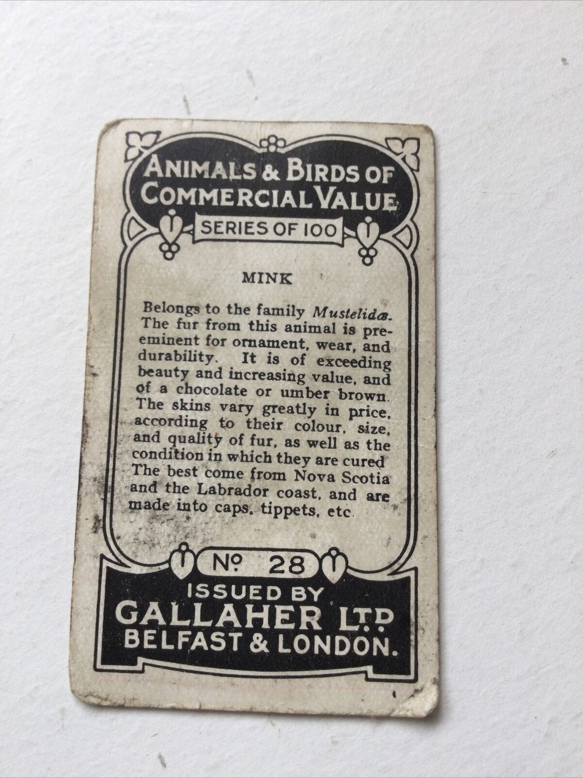 MINK Gallagher Cigarette Card Animals & Birds Of Commercial Value #28 Antique