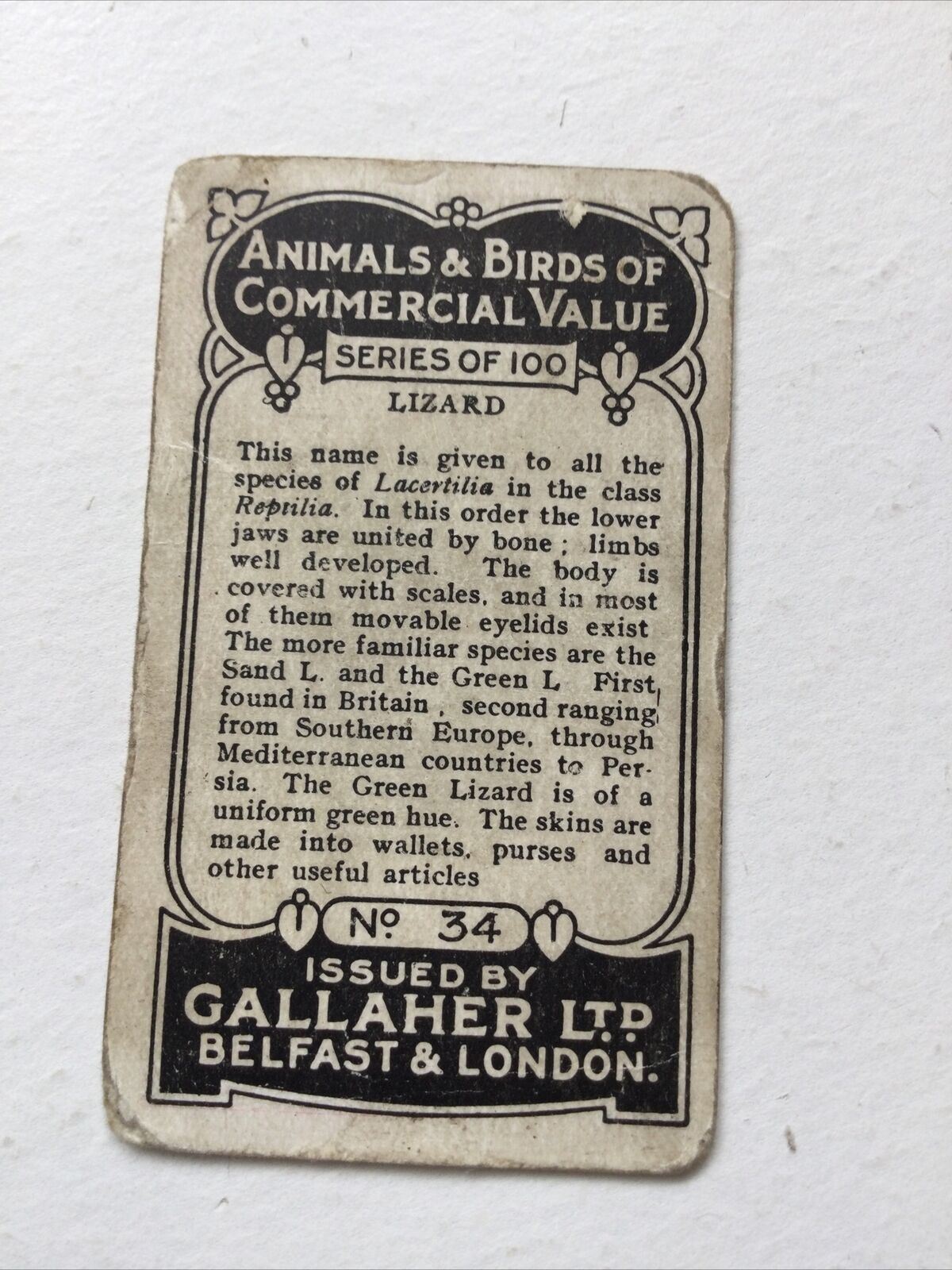 LIZARD Gallagher Cigarette Card Animals & Birds Of Commercial Value #34 Antique