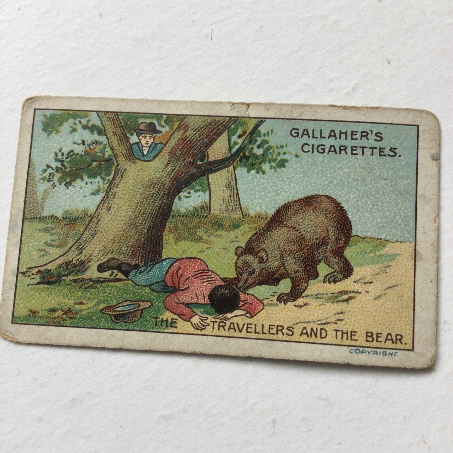 THE TRAVELLERS & THE BEAR, Fables & Their Morals, Gallaher Cigarette Card #9