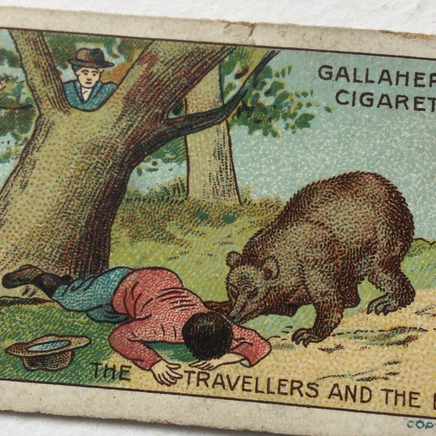 THE TRAVELLERS & THE BEAR, Fables & Their Morals, Gallaher Cigarette Card #9