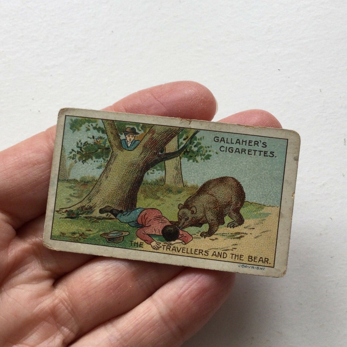 THE TRAVELLERS & THE BEAR, Fables & Their Morals, Gallaher Cigarette Card #9