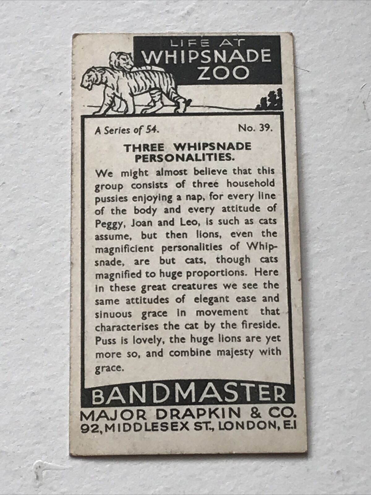 LIFE AT WHIPSNADE ZOO THREE PERSONALITIES LIONS PEGGY JOAN LEO Bandmaster Card