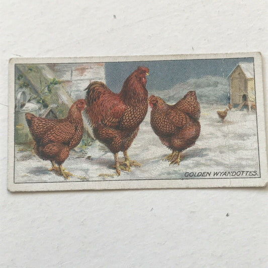 GOLDEN WYANDOTTES, Ogden’s Cigarette Card, Poultry #32 Fowl Hens Beautiful Print