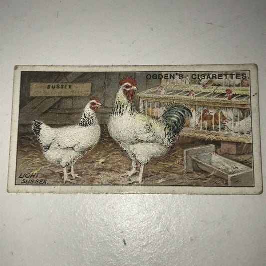 LIGHT SUSSEX Ogden’s Cigarette Card, Poultry #25 Hen Cock Fowl Vintage Print