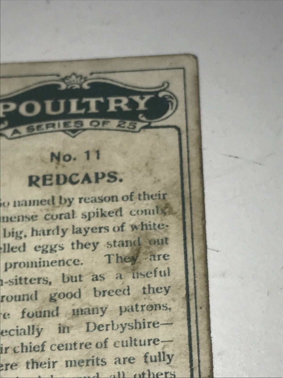 REDCAPS Ogden’s Cigarette Card, Poultry #11 Hen Cock Fowl Vintage Print