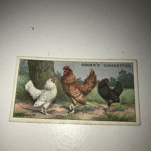 FRIESLANDS Ogden’s Cigarette Card, Poultry #14 Hen Cock Fowl Vintage Print