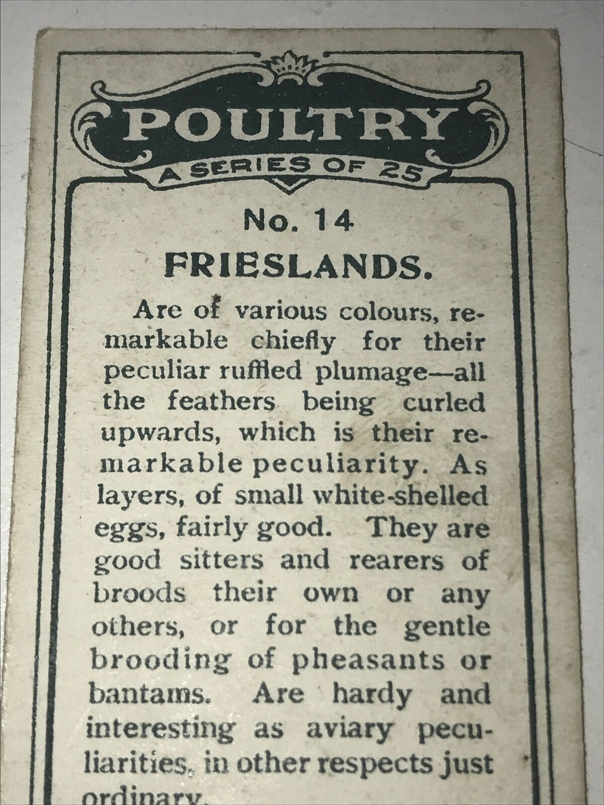 FRIESLANDS Ogden’s Cigarette Card, Poultry #14 Hen Cock Fowl Vintage Print