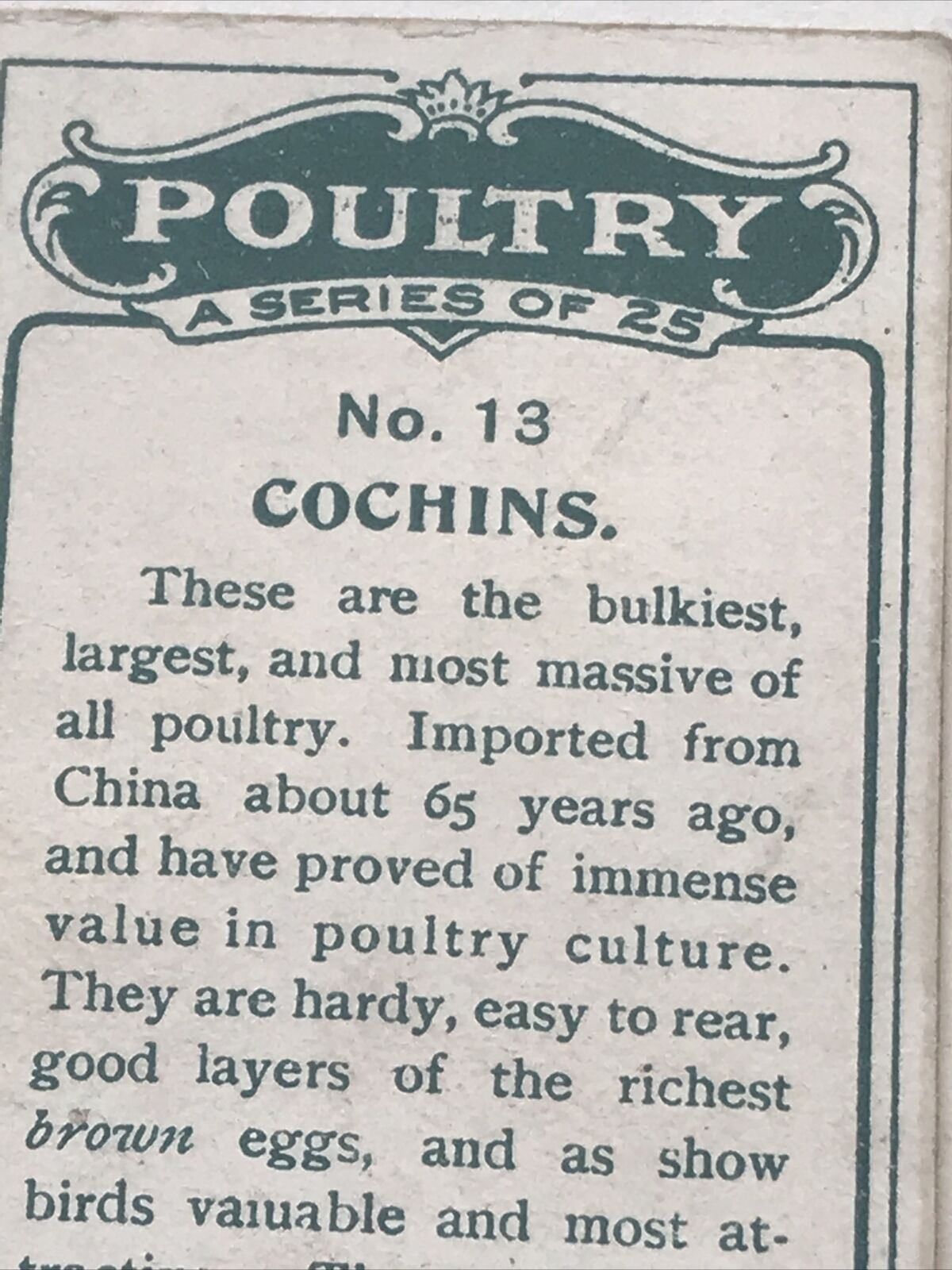 COCHINS Ogden’s Cigarette Card, Poultry #13 Hen Cock Fowl Vintage Print