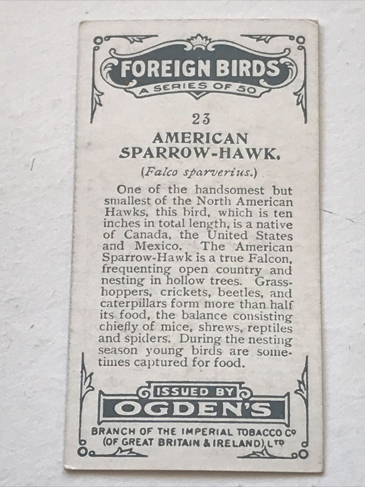 AMERICAN SPARROW-HAWK  Ogden’s Cigarette Card, FOREIGN BIRDS #23 Falcon 1924