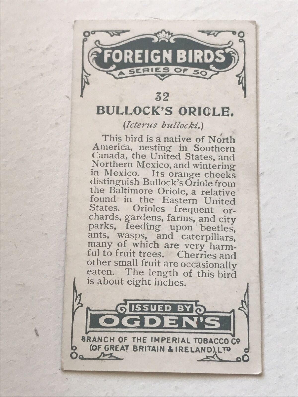 BULLOCKS ORIOLE Ogden’s Cigarette Card, FOREIGN BIRDS #32 Colourful Bird Print