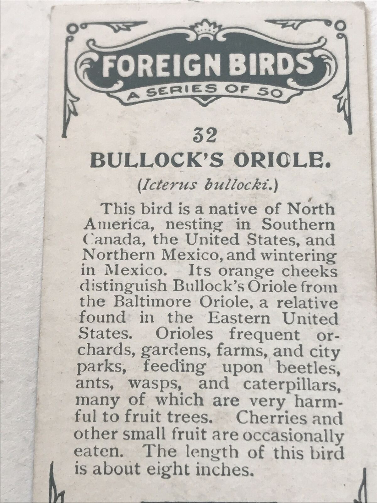 BULLOCKS ORIOLE Ogden’s Cigarette Card, FOREIGN BIRDS #32 Colourful Bird Print