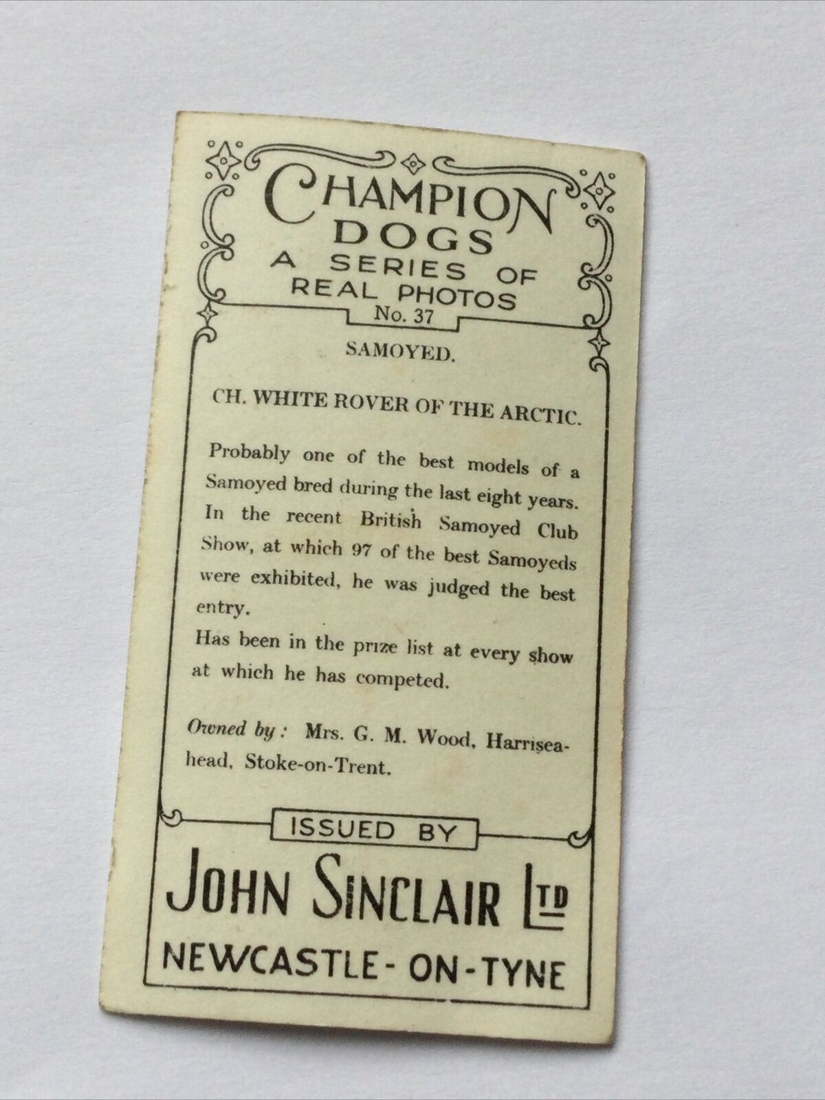 SAMOYED CH. WHITE ROVER OF  THE ARCTIC John Sinclair Cigarette Card Champion Dog