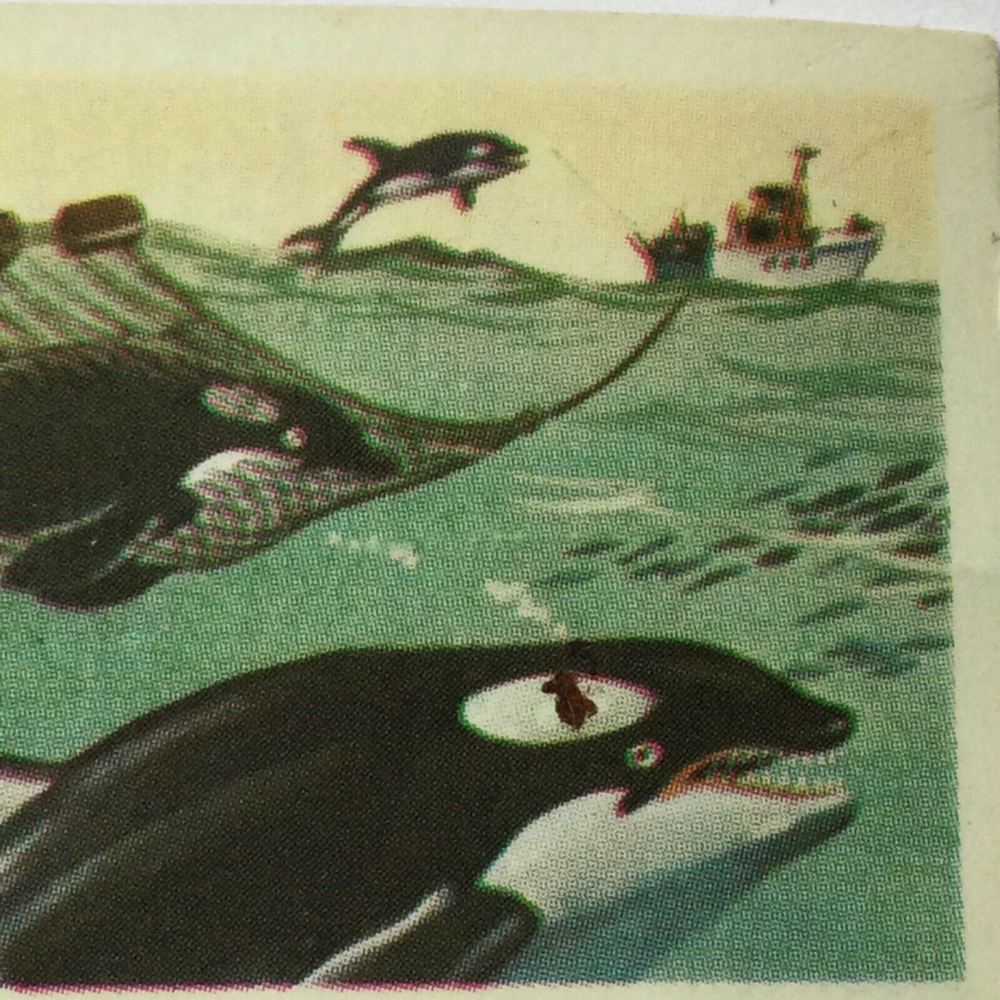 KILLER WHALE Picture Brooke Bond Tea Card The Sea - Our Other World #25 Orca