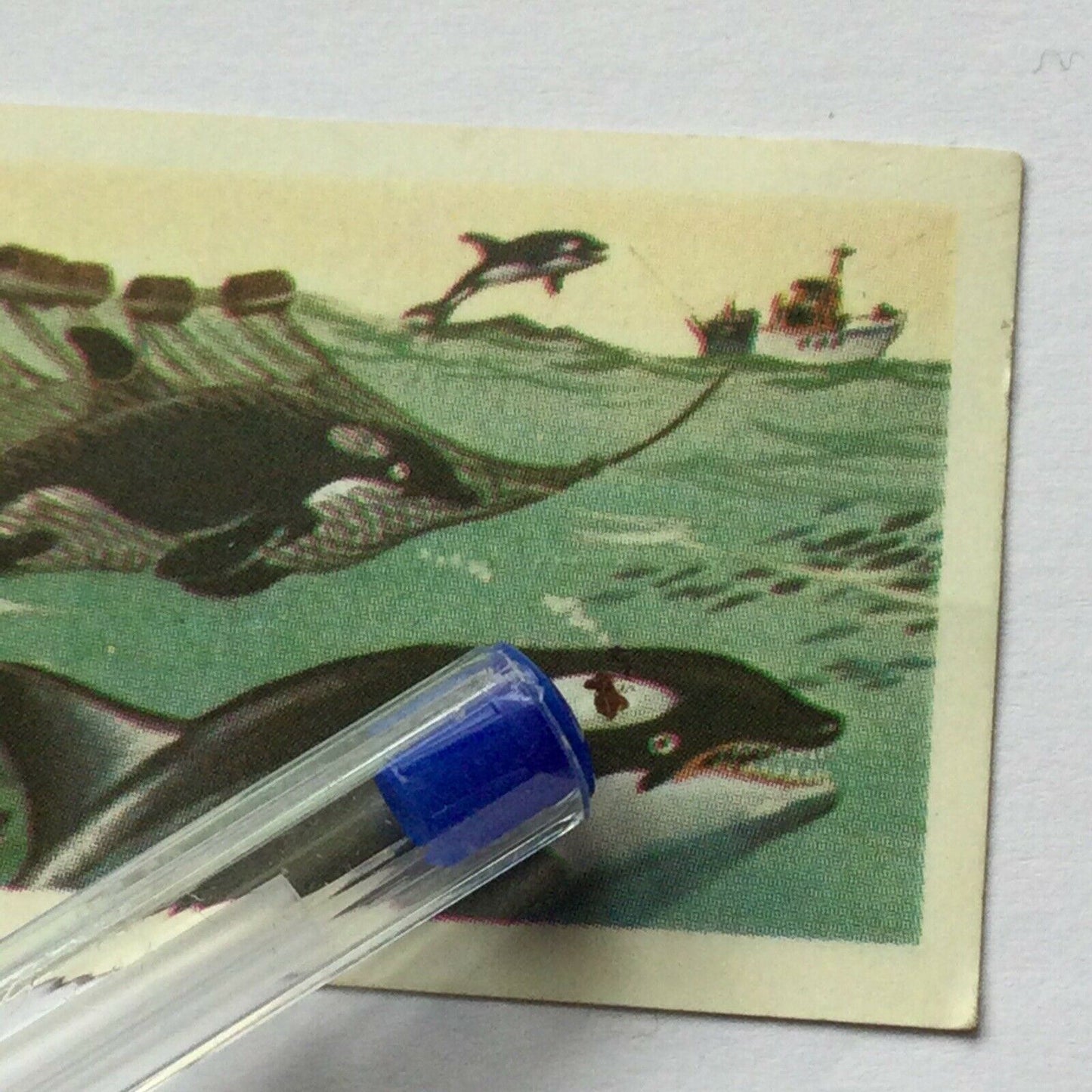 KILLER WHALE Picture Brooke Bond Tea Card The Sea - Our Other World #25 Orca