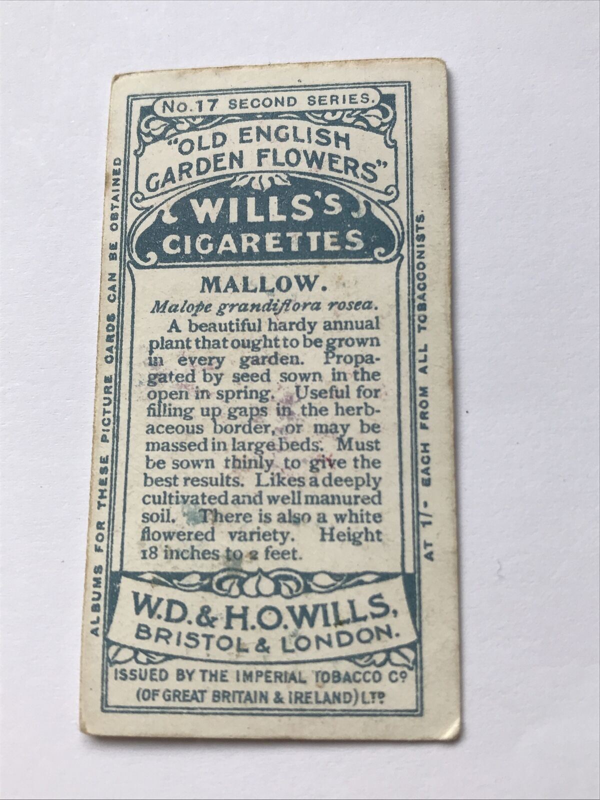 Mallow WILLS CIGARETTE CARD Old English Garden Flowers #17 Second Series