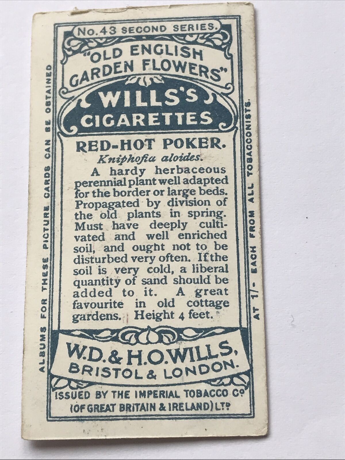 Red Hot Poker WILLS CIGARETTE CARD Old English Garden Flowers #43 Second Series