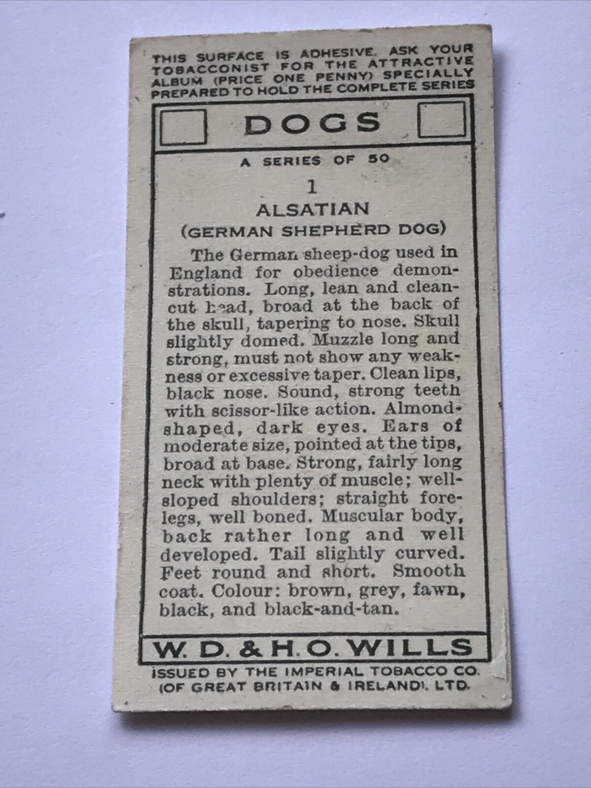 Alsatian WILLS CIGARETTE CARD Dogs #1 Arthur Wardle Picture