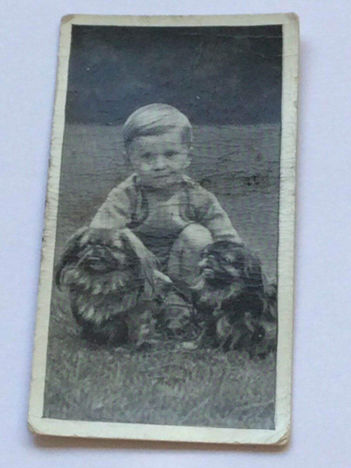 Carreras Cigarette Cards DOGS & FRIEND 1936 Cute Pet Photos with Children. Sold Individually.