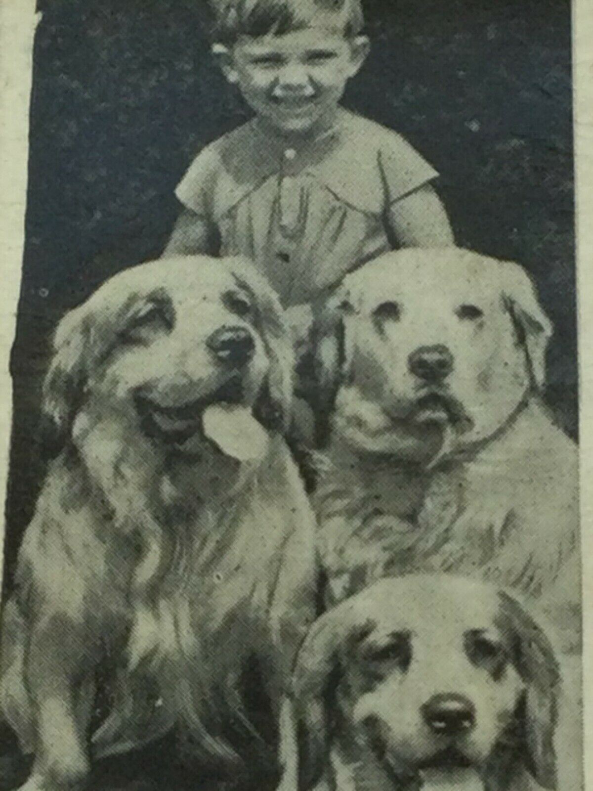 Carreras Cigarette Cards DOGS & FRIEND 1936 Cute Pet Photos with Children. Sold Individually.