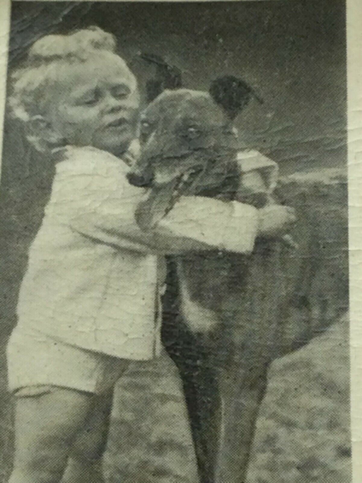 Carreras Cigarette Cards DOGS & FRIEND 1936 Cute Pet Photos with Children. Sold Individually.