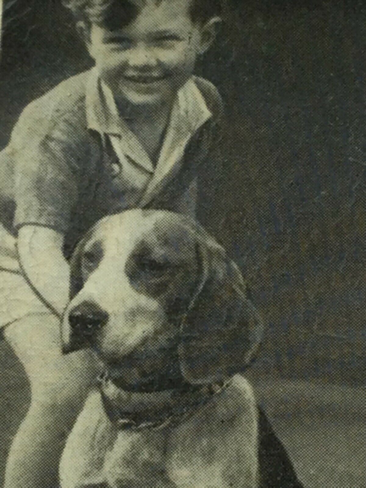 Carreras Cigarette Cards DOGS & FRIEND 1936 Cute Pet Photos with Children. Sold Individually.