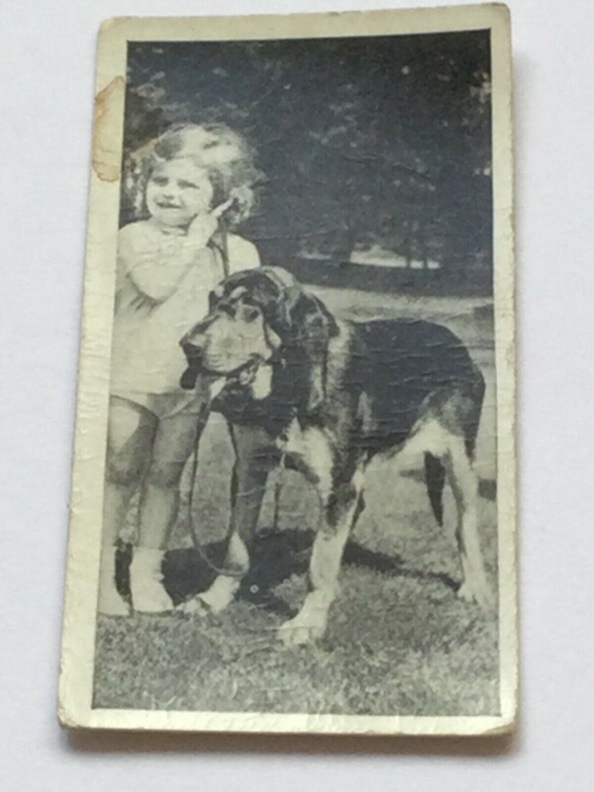 Carreras Cigarette Cards DOGS & FRIEND 1936 Cute Pet Photos with Children. Sold Individually.