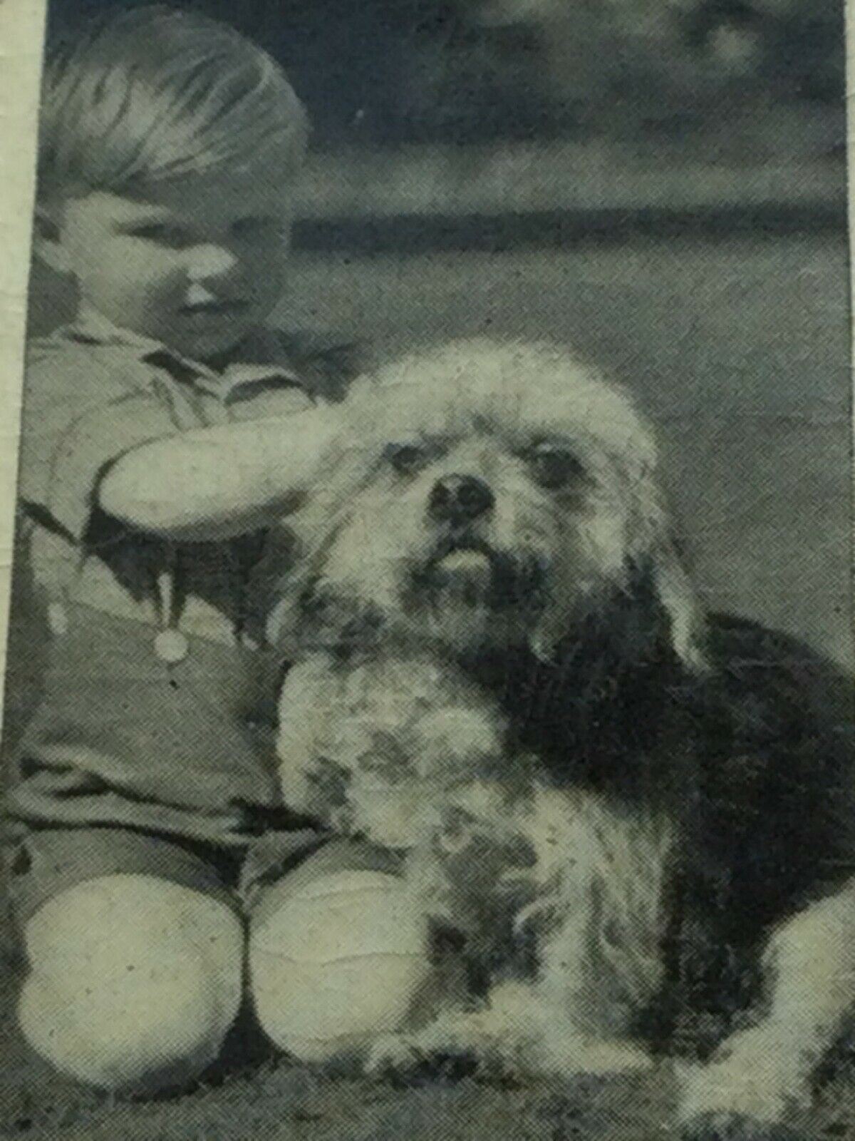 Carreras Cigarette Cards DOGS & FRIEND 1936 Cute Pet Photos with Children. Sold Individually.