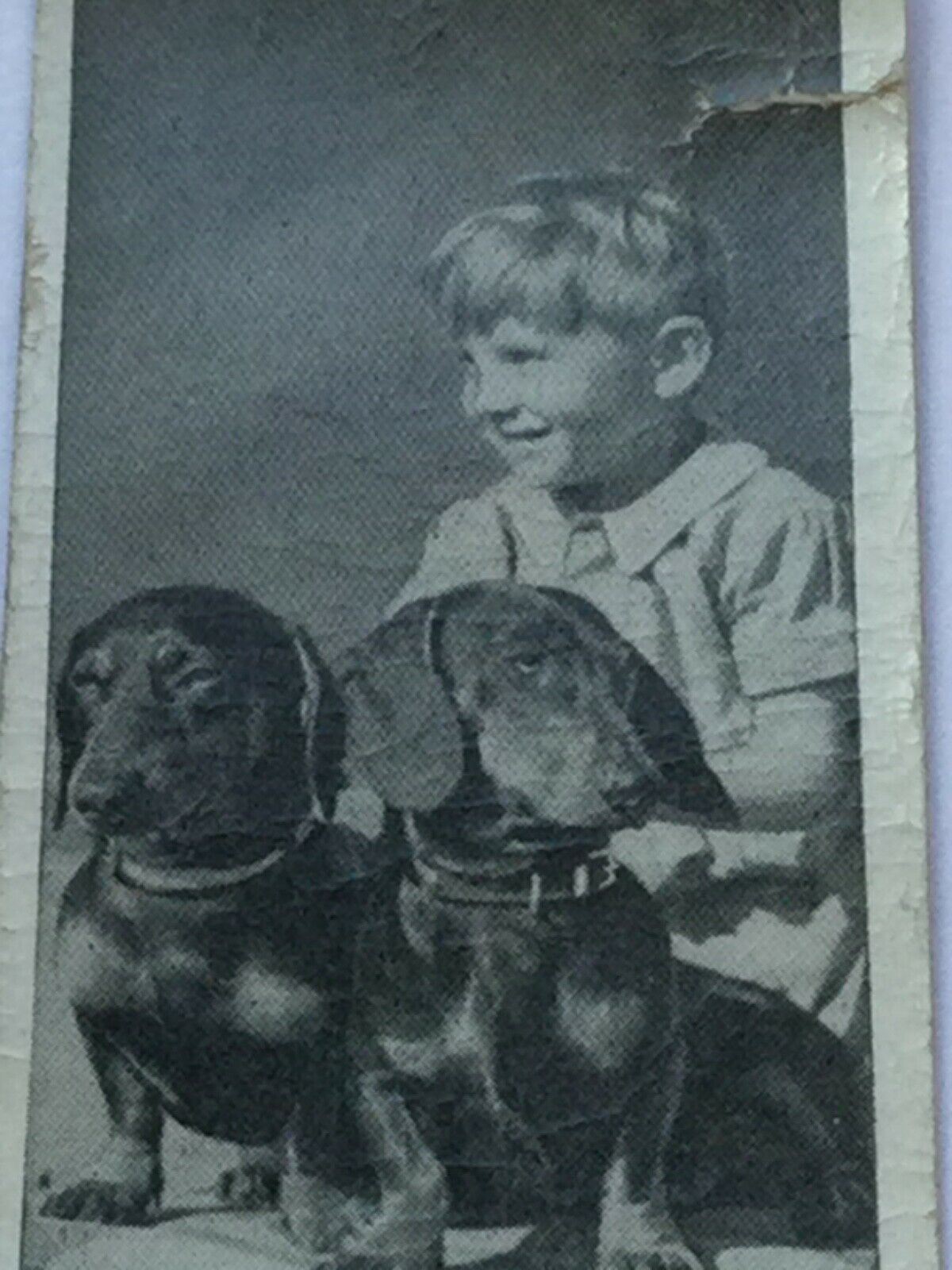 Carreras Cigarette Cards DOGS & FRIEND 1936 Cute Pet Photos with Children. Sold Individually.