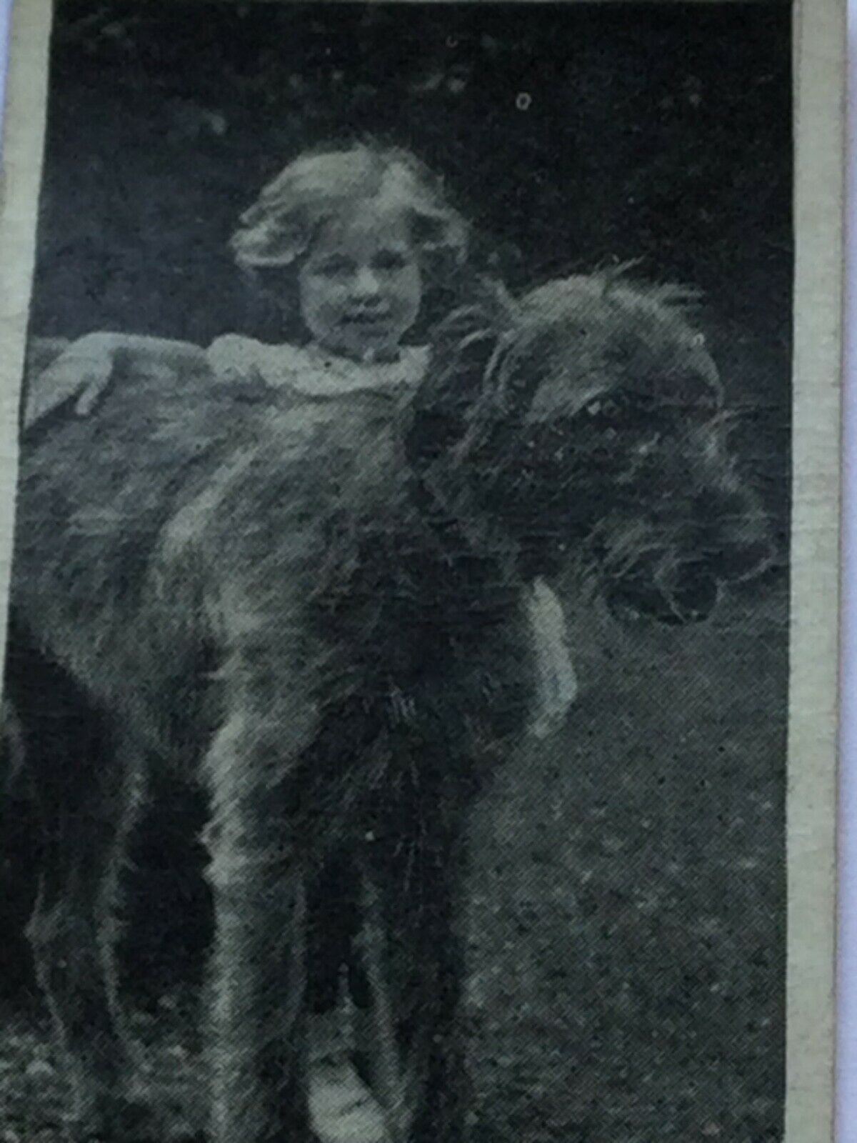 Carreras Cigarette Cards DOGS & FRIEND 1936 Cute Pet Photos with Children. Sold Individually.