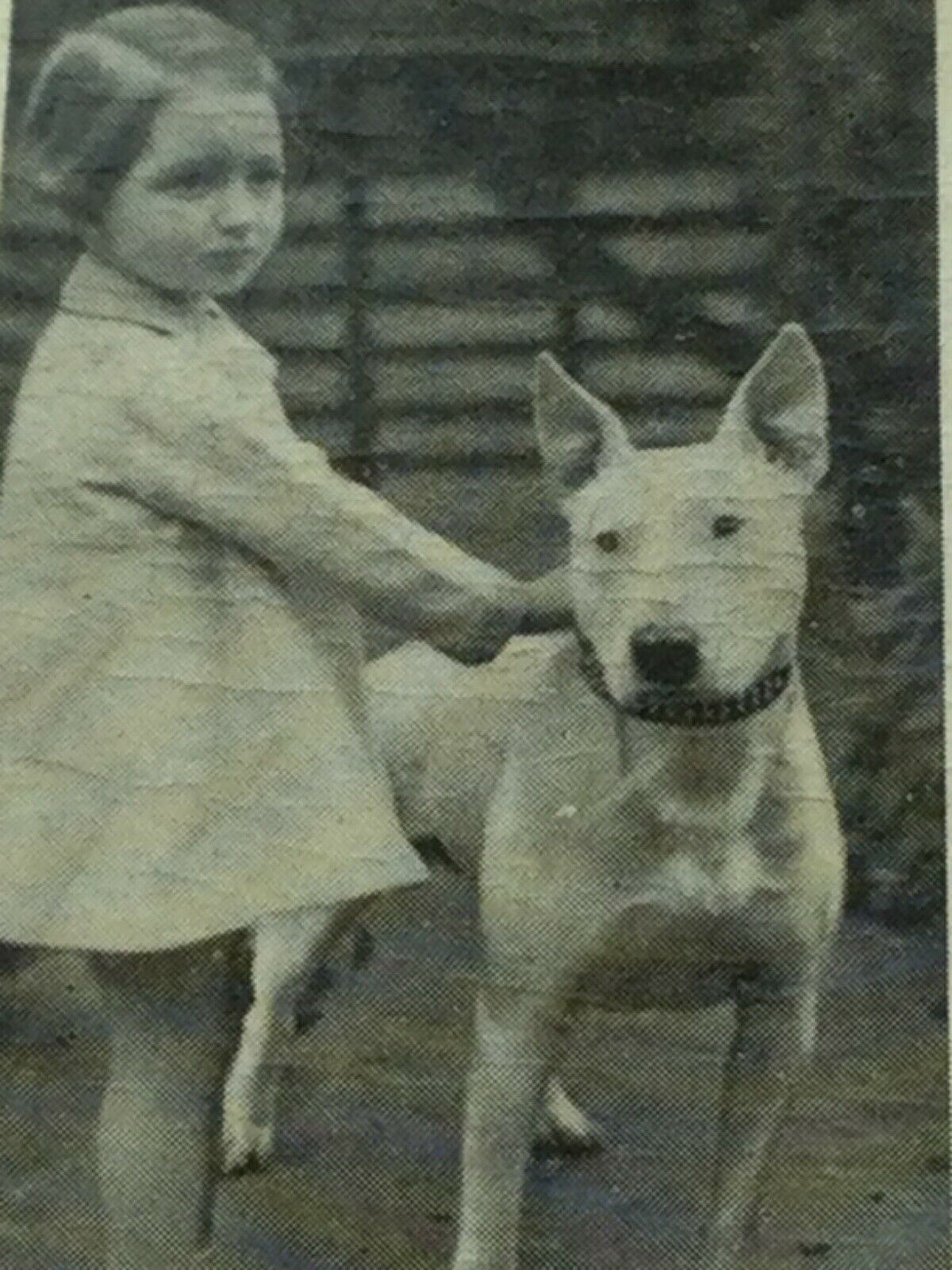 Carreras Cigarette Cards DOGS & FRIEND 1936 Cute Pet Photos with Children. Sold Individually.