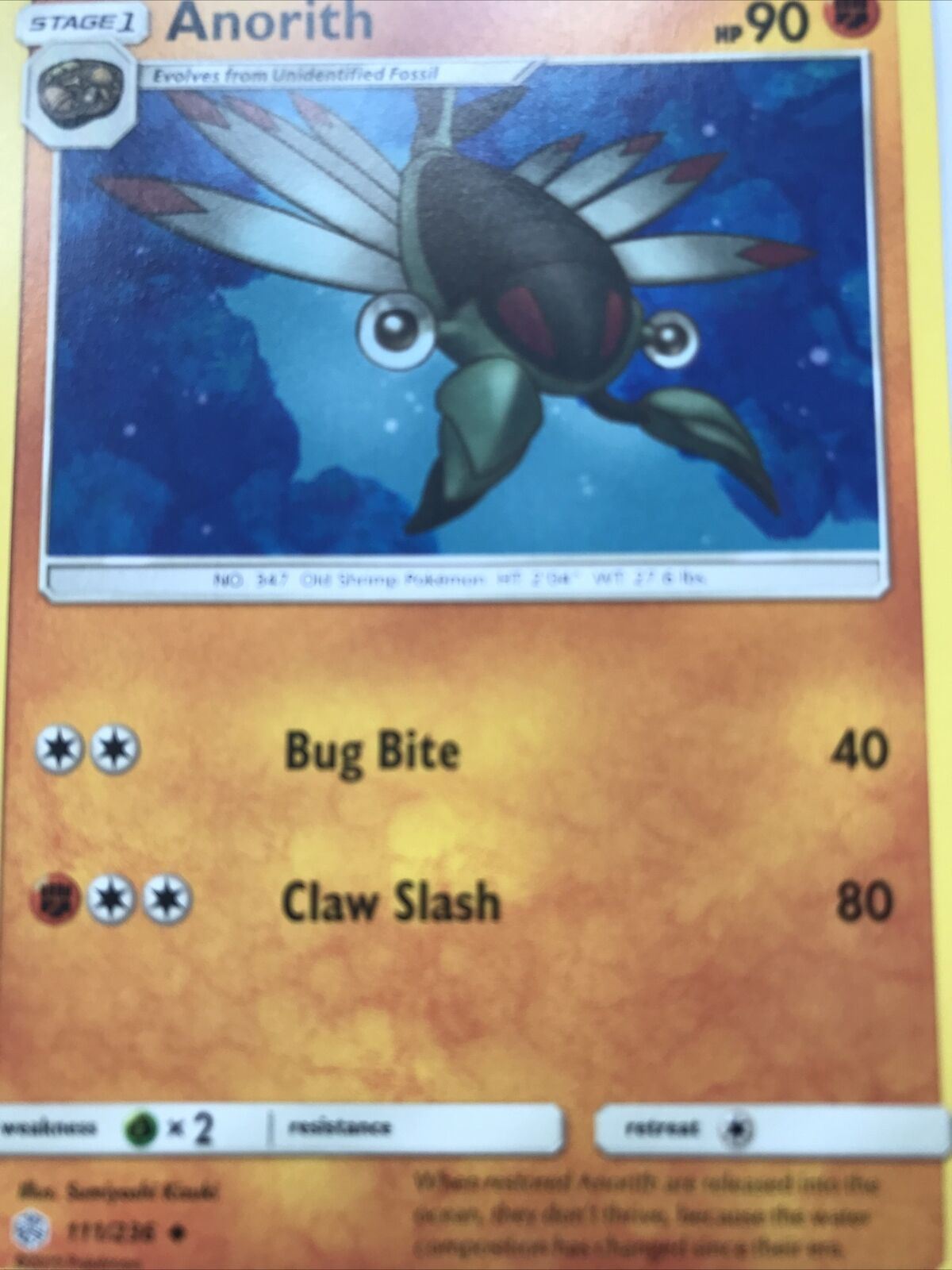 2019 Pokemon Card Stage 1 Evolve ANORITH Pack Fresh HP90 Old Shrimp 111/236 347