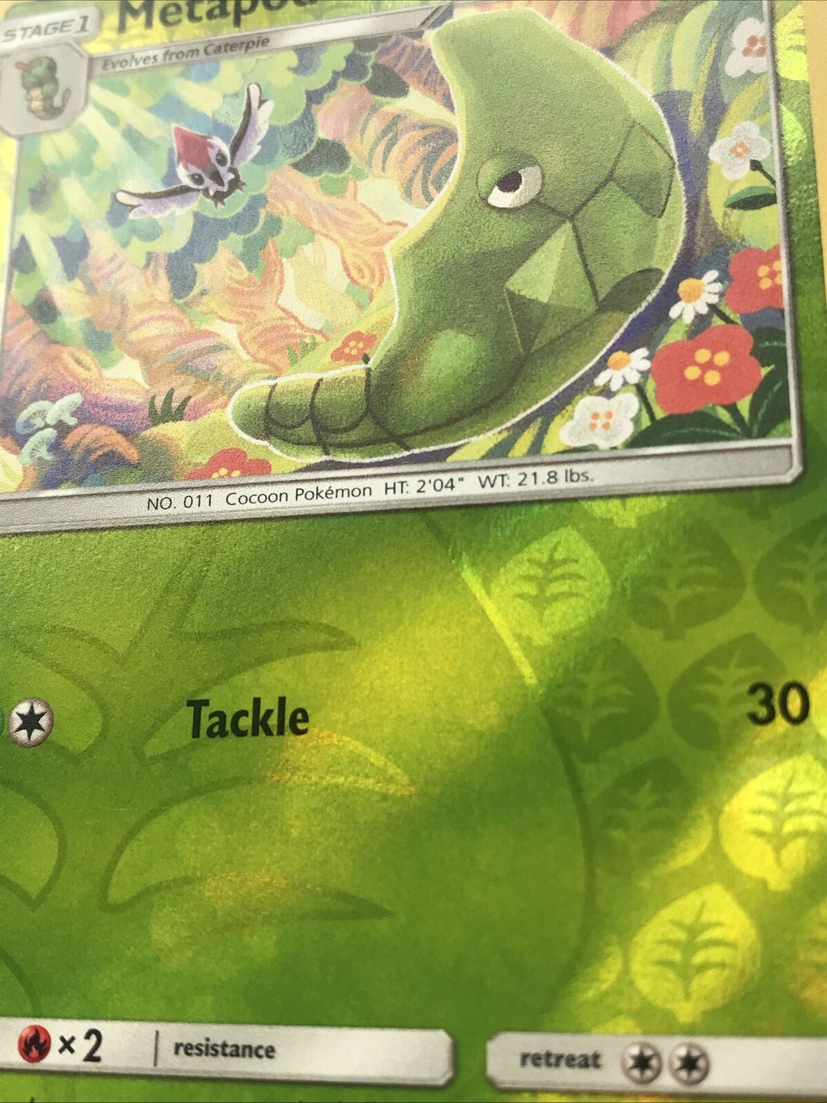 2019 Pokemon Card HOLO METAPOD  Pack Fresh HP90 COCOON 2/68 No. 11 Stage 1 Evolv