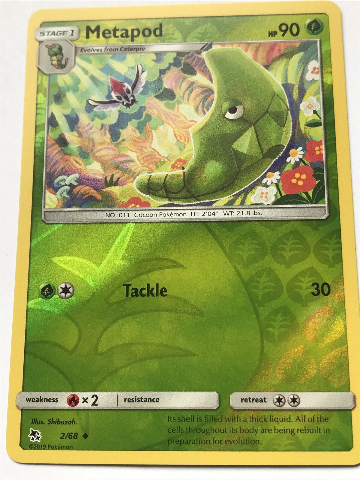 2019 Pokemon Card HOLO METAPOD  Pack Fresh HP90 COCOON 2/68 No. 11 Stage 1 Evolv