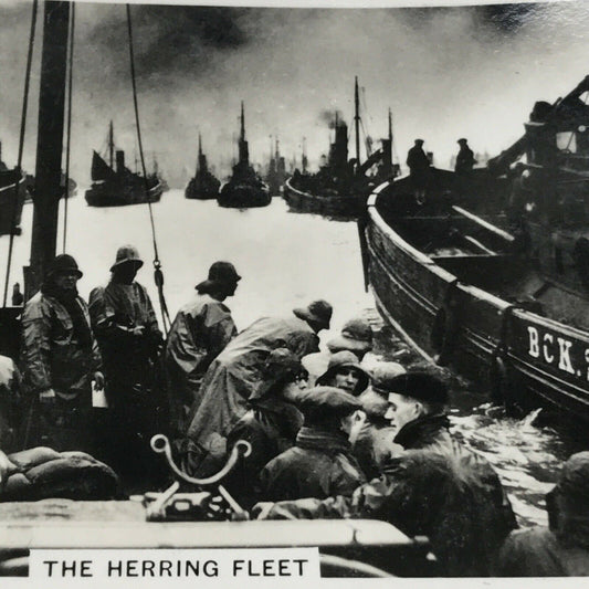 Vintage Photo Cigarette Card 1939 1930s The Herring Fleet Yarmouth No28 Harbour