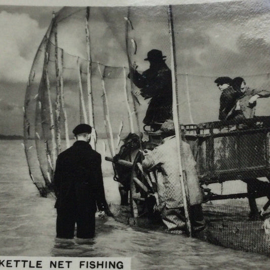 Vintage Photo Cigarette Card 1939 1930s KETTLE NET FISHING RYE BAY SUSSEX